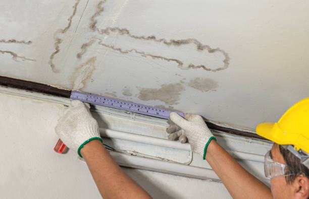 Reliable Mold Remediation contractor in Springtown, TX by Water Damage Irwin